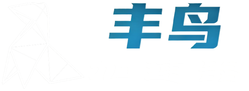 丰鸟加速器